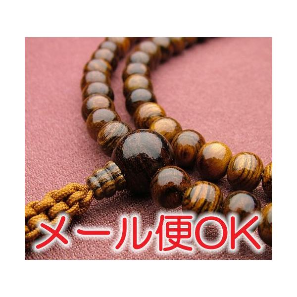 w[OKxՒd dՍϏ@ jp {O 