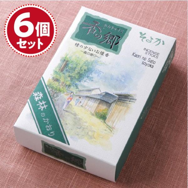   쐰 ̋悩()×6ZbgwΉx