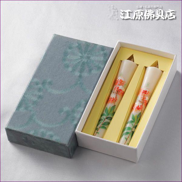 w[OKx` G낤2{(݂܂)