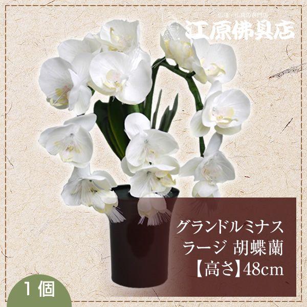仏具 神具 ルミナス胡蝶蘭の人気商品・通販・価格比較 - 価格.com 仏具 神具 ルミナス胡蝶蘭の人気商品・通販・価格比較 - 価格.com
