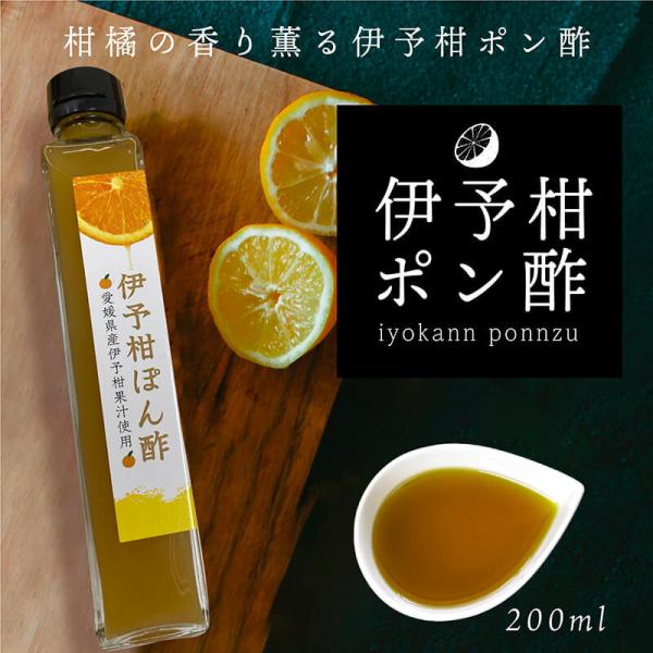 愛媛県産の伊予柑の果汁を使用した伊予柑ぽん酢です。愛媛県産柑橘代表の甘酸っぱい伊予柑の果汁を使って作りました。焼き魚や焼肉、生野菜（サラダ）や鍋物など幅広くご利用いただけます。使用前によく振ってからお召し上がりください。名称　　　　伊予柑ぽ...