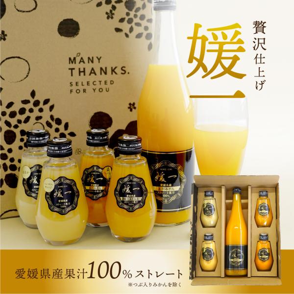 ジュース 媛一 温州みかん 媛一まどんな・つぶ入りみかん・はるか