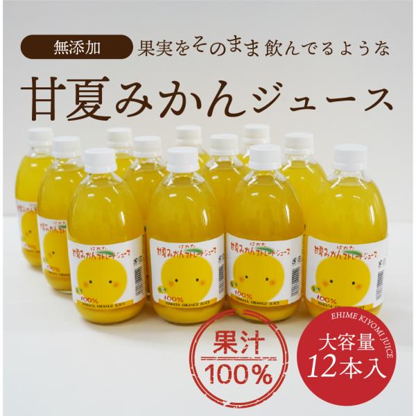 ジュース 甘夏みかんジュース 500ml×12本セット 愛媛県産 ジュース 甘夏みかんジュース 500ml×12本セット 愛媛県産