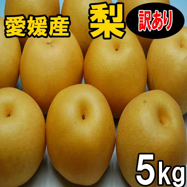 幸水梨 豊水梨 秋月梨 新高梨 訳あり家庭用 ５ｋｇ 送料無料 産地直送 Nashi W 51 愛媛みかんのまるに 通販 Yahoo ショッピング