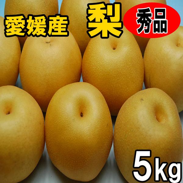 幸水梨 豊水梨 秋月梨 新高梨 秀品ギフト贈答用 ５ｋｇ 送料無料 産地直送 Nashi Z 5 愛媛みかんのまるに 通販 Yahoo ショッピング