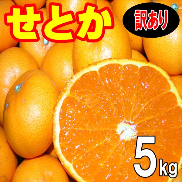 17愛媛玉津産　日南　甘い小玉　秀品＋家庭用ランク込み5kg