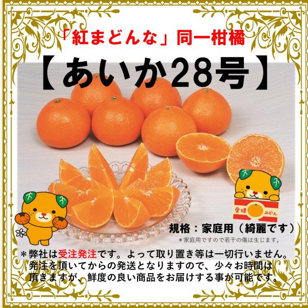 ehimeikiiki_aika5 ehimeikiiki_aika5