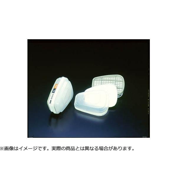 3M スリーエム コンビネーシヨン吸収缶 S1ろ過材付き 6002/5911-S1 2個