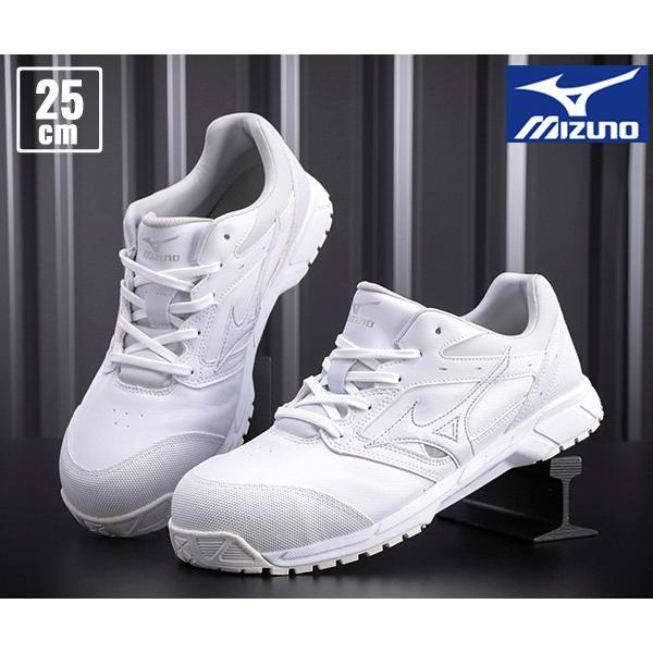 [|Cg10{] ~Ym SC C1GA171001 25.0cm zCg I[}CeBCS R^Cv