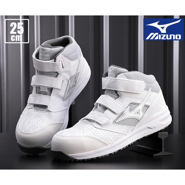 [|Cg10{] ~Ym SC F1GA220001 25.0cm zCg×Vo[ I[}CeBLS II 21M