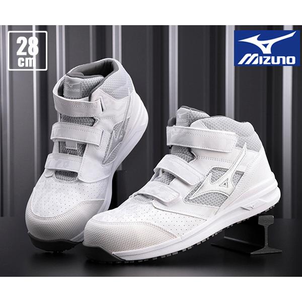 [|Cg10{] ~Ym SC F1GA220001 28.0cm zCg×Vo[ I[}CeBLS II 21M