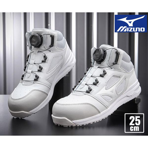 [|Cg10{] ~Ym SC F1GA220305 25.0cm O[×zCg I[}CeBLS 2 73M BOA