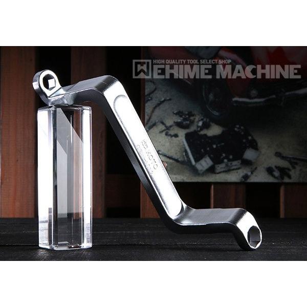 専用　冰雹　ブツブツ　内棘　裏棘　発根済み　8 水球用遮水管理版 – ツカサドルフィン株式会社