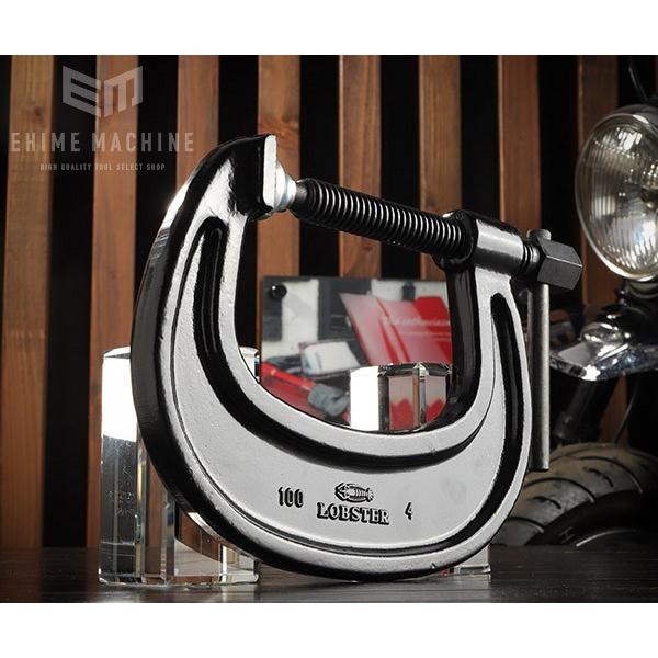 uebNX C100 C^VR 100mm Gr LOBSTER uX^[ LOBTEX