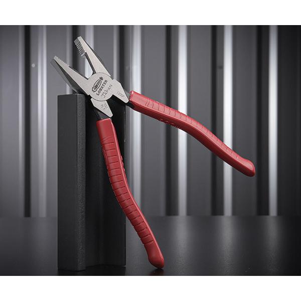 uebNX J200P y`(Obv) Gr LOBSTER uX^[ GrH LOBTEX