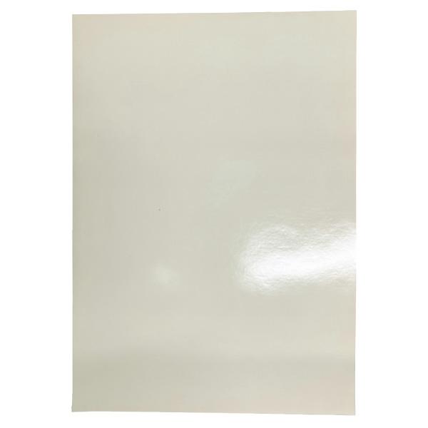 【10月の特価品】シグネット SG蓄光シート 210X297 (99883) SIGNET