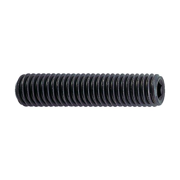 他サイト： TRUSCO 六角穴付止メネジ サイズM5X12 69本入 B310512 トラスコの商品画像