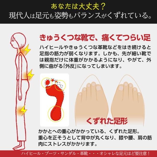 ����щ^�������� ����Y�������f�� +�v���X�y���z�������� ���[�J�[���� �O������T���_�� ���i�摜4