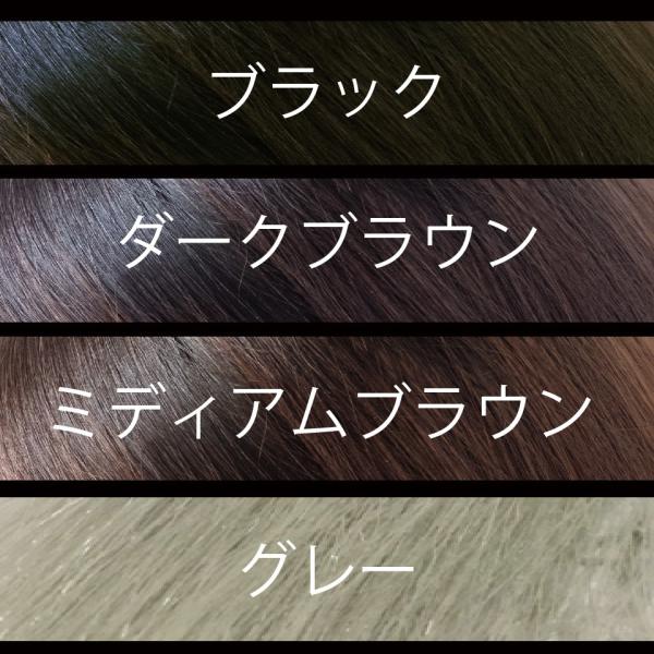 ヘアシャンティアップ Hair Shanty Up ファイバー本体 Buyee Buyee Japanese Proxy Service Buy From Japan Bot Online