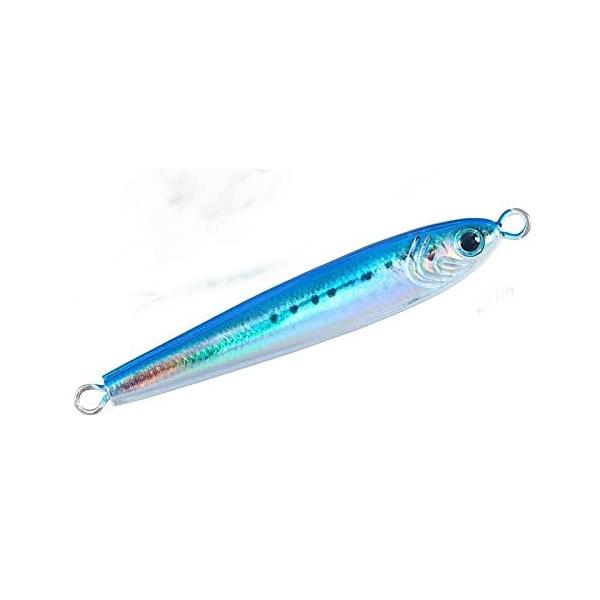 ダイワ(DAIWA) ソルティガ TGベイト 80g フラッシュリアルイワシ