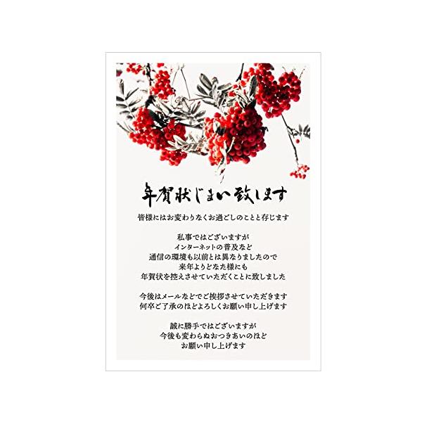 ※併売のため、在庫切れの際はご了承ください。発送委託により倉庫業者がお届けする場合がございます※年賀状をやめたい方、年賀状じまいはがきで丁寧なご挨拶を通信環境の変化を理由に年賀状をやめる、という内容の文章が印刷されたハガキ今後は別の形でお付...
