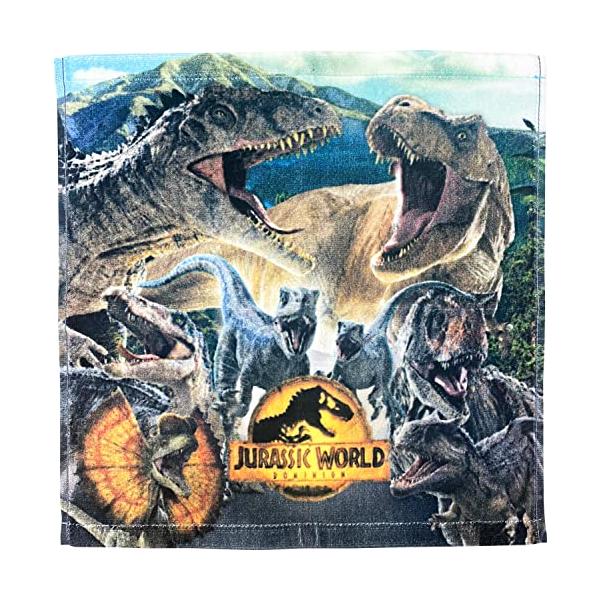 ※併売のため、在庫切れの際はご了承ください。発送委託により倉庫業者がお届けする場合がございます※綿100％で肌触りの良いハンドタオル。