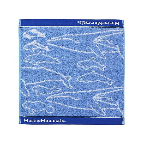 ※併売のため、在庫切れの際はご了承ください。発送委託により倉庫業者がお届けする場合がございます※【吸収性が高くソフトな肌触り】吸水性が高く持ち歩き用に最適な今治(いまばり)製ウォッシュタオル。【カロラータオリジナリティ】イルカ・クジラの仲間...