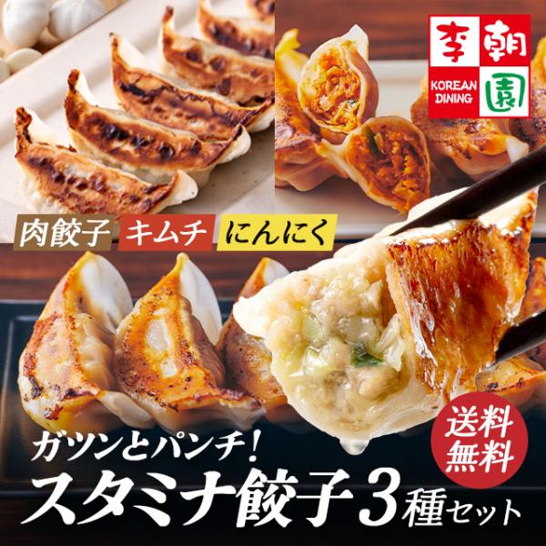 餃子 スタミナ餃子 3種セット 合計68個 食べ比べ お取り寄せ お中元 ギフト お試し おつまみ おかず お惣菜 冷凍 国産 冷凍食品 餃子 マンドゥ 李朝園
