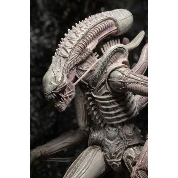 最安値挑戦！ NECA ネカ 未開封 エイリアン2 アルビノ エイリアン 7