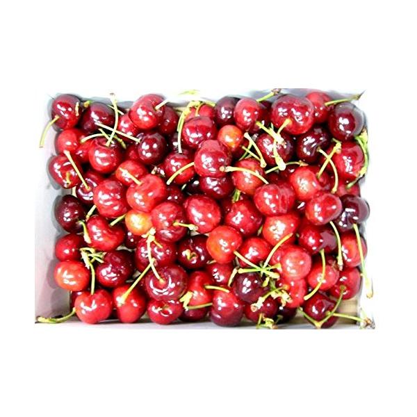 アメリカ産 アメリカンチェリー 2kg