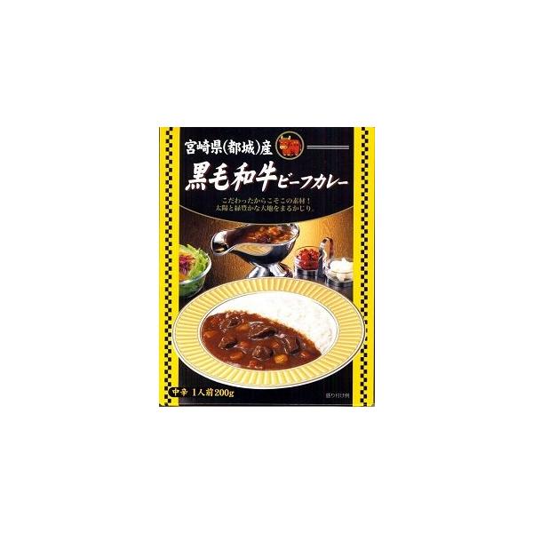 宮崎県(都城)産・黒毛和牛ビーフカレー 中辛 1人前