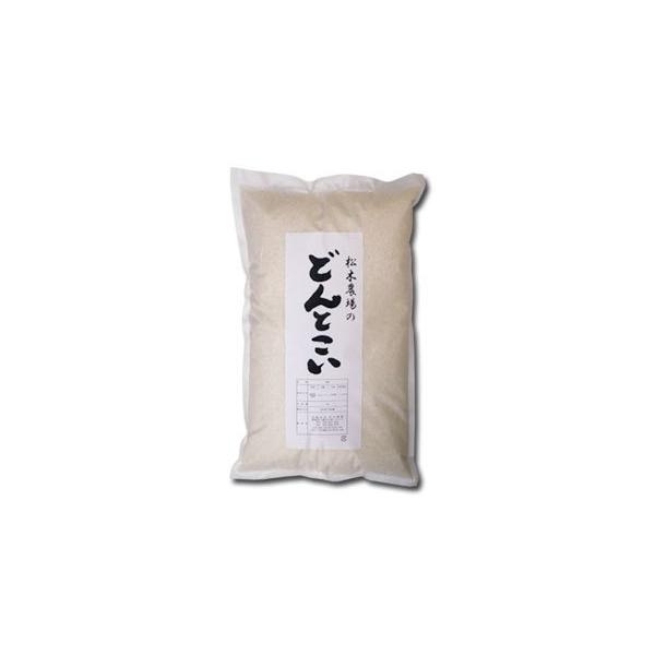 農薬不使用 玄米 どんとこい 松木農場 5kg 令和7年産 新潟産
