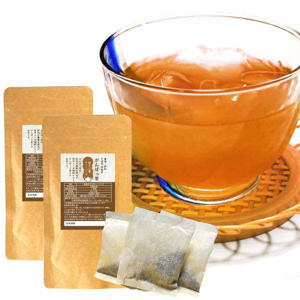 伊勢茶 ほうじ茶ティーバッグ２４包（１２包×２個） お茶 無農薬 日本茶 三重県産 農薬・肥料不使用栽培