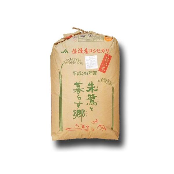 朱鷺と暮らす郷 【玄米】 新潟 佐渡産 こしひかり 特別栽培 令和7産 玄米 10kg