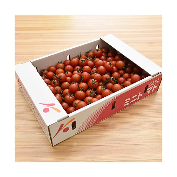 熊本県産 （ 九州 ） ミニトマト 1ケース 3kg 新鮮 生 産地直送