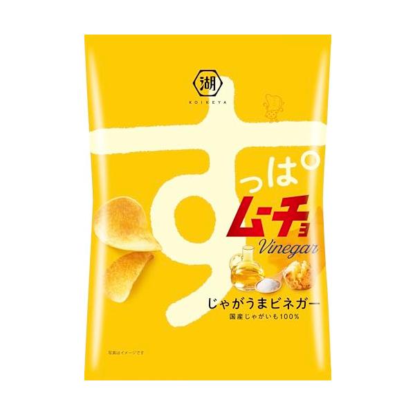 湖池屋 すっぱムーチョチップス じゃがうまビネガー 55g×12袋