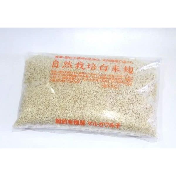 自然栽培玄米麹500g 味噌造り、甘酒作りには無農薬・無肥料の生麹 放射性物質検査済・ORP＋235mV