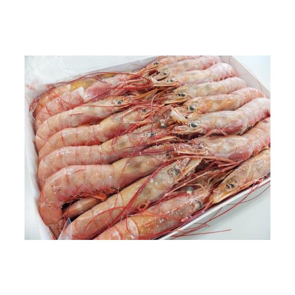 赤えび 2kg 40-60尾 L-2 赤エビ 赤海老 えび 海老 お刺身 お寿司 ＢＢＱ バーベキュー 【水産フーズ】
