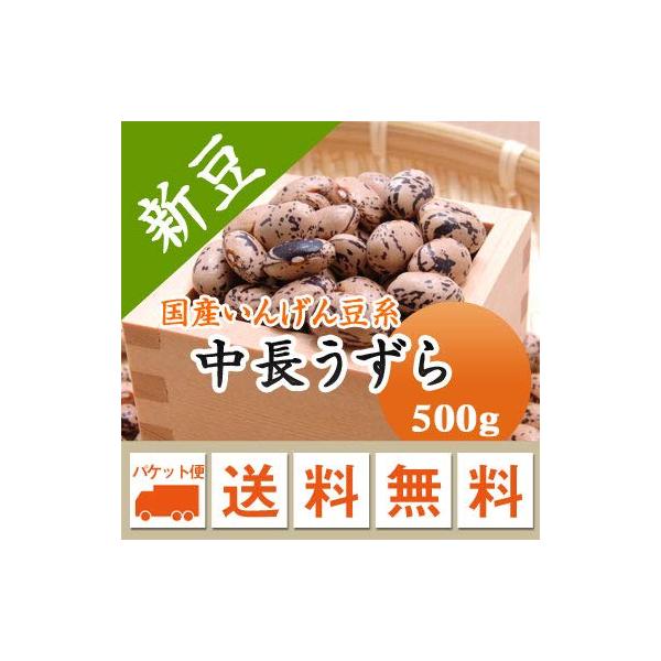 うずら豆 国産 いんげん豆 北海道産 中長うずら豆 500g 【ポスト投函対応】