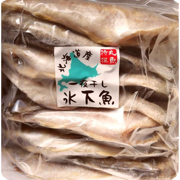 産直丸魚 おつまみにピッタリ 北海道産 氷下魚 (こまい) 一夜干し まとめ買いに便利な 2ｋｇ入 コマイ 珍味