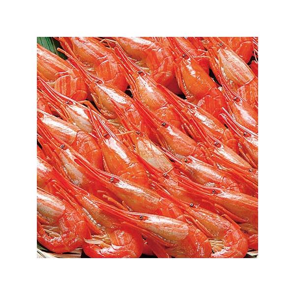 しまえび 北海道 シマエビ 北海しまえび 500g Mサイズ 北海道産 縞エビ