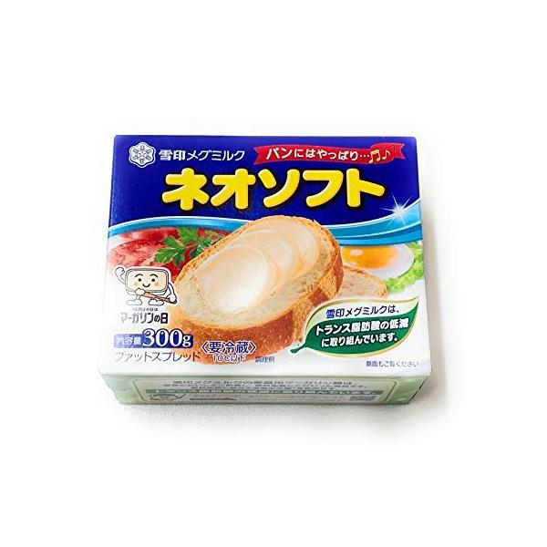 雪印 ネオソフト300g【入り数２】