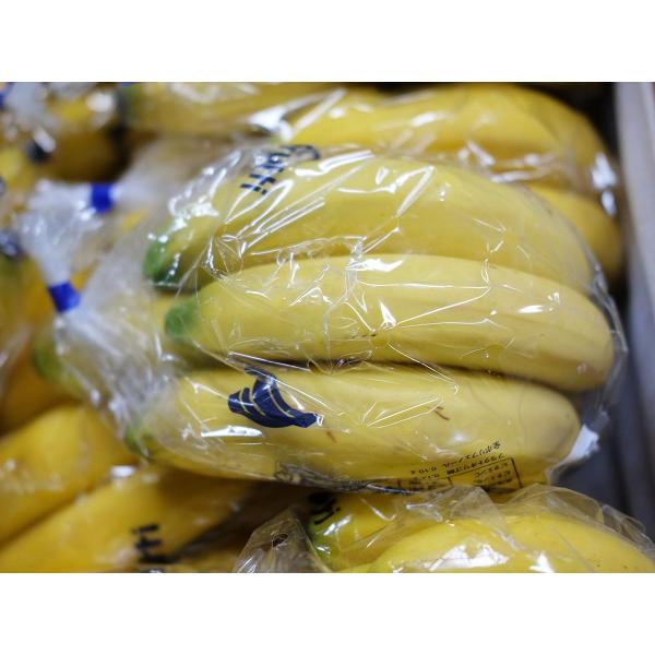 フィリピン産 バナナ (黄色め) 33袋入 1袋4?5本入 （平均150本程度） 箱 セット 業務用