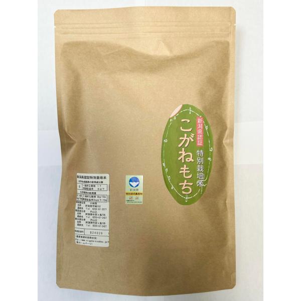 こがねもち 玄米 10kg(5kg＊2) 令和7年産 こばやし農園 新潟県産 特別栽培米（減農薬・減化学肥料栽培米）〜残留農薬検査済み〜