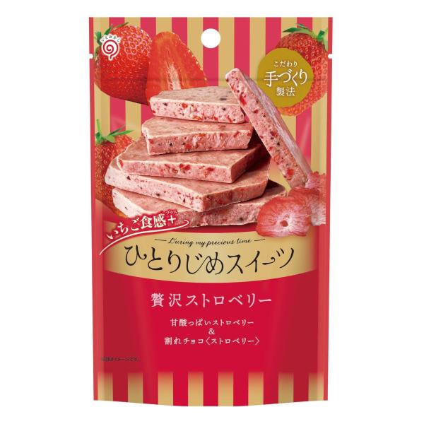 栄光堂ファクトリー ひとりじめスイーツ 贅沢ストロベリー 45g×6袋