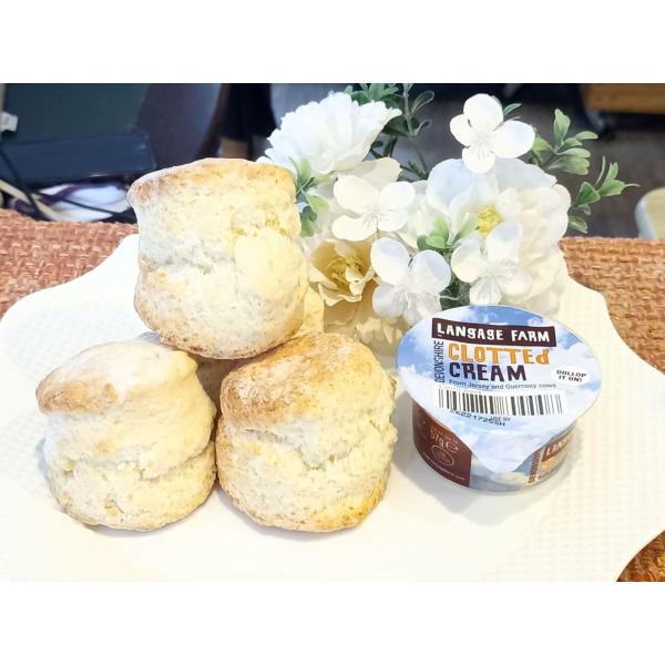 英国Devon歓喜のクリームティーセット☆2名様用☆英国デボン州産ランゲージファーム クロテッド57g×1＆さぬきの夢スコーン×6【冷凍クール便発送】