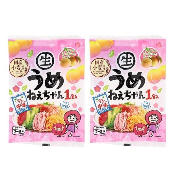 サタプラ紹介 さぬき麺心 冷し中華 うめねえちゃん 梅風味スープ付き なま中華めん 141g×2袋 2食分 国産小麦使用