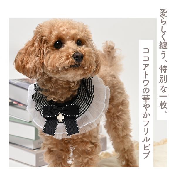 eighthundred_cg25as010_4_d_20250421153056