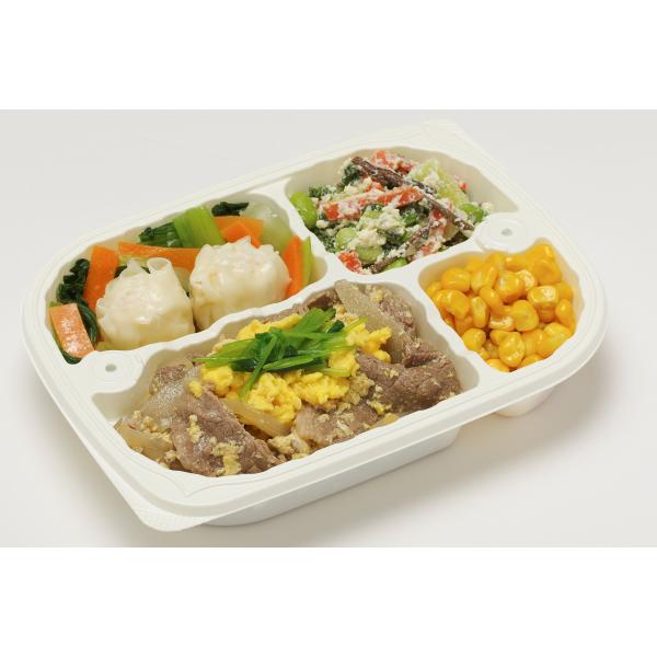 人工透析食（エネルギー300Kcal たんぱく質20ｇ 塩分2ｇ カリウム650mg）商品名：たんぱく調整食20ｇ (21食セット)