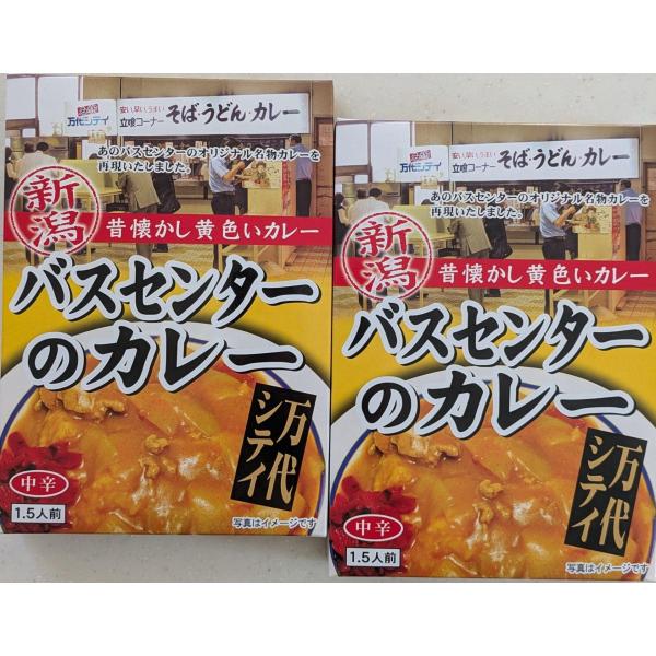 新潟 バスセンターのカレー 2個セット 昔懐かし黄色いカレー 万代